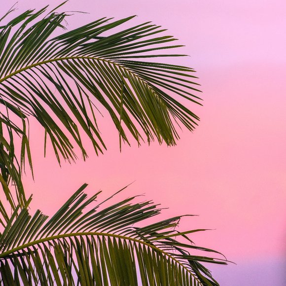 🌸 Summer sale! 🌸 - Picture 1 of 1